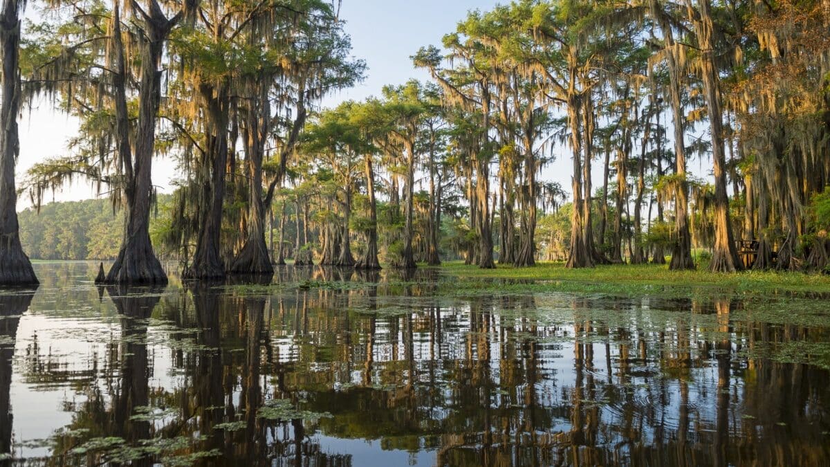 Zurich Classic of New Orleans 2026: Team Format Returns to TPC Louisiana