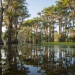 shawn costello pga Zurich Classic of New Orleans